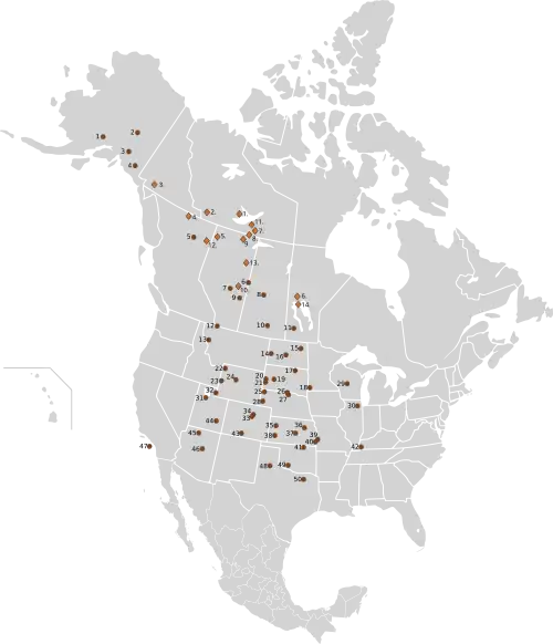 Distribution of public herds of plains bison and of free-ranging or captive breeding wood bison in North America as of 2003.   Wood bison   Plains bison