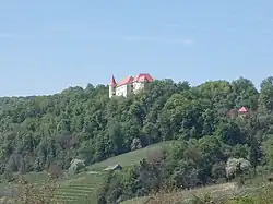 Bizeljsko Castle