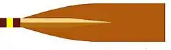 Image showing the rowing club's blade colours