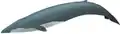 Blue whale illustration with a dark blue tail, a slightly lighter shade of blue overall, and a small dorsal fin close to the tail