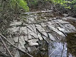 Block Limestone is typically a relatively thin, fine-grained, well consolidated limestone in a single even bed, broken into near-rectangular blocks by vertical joints at roughly 90 degrees to each other. Created in moderately deep seas while seawater was quickly rising, it represents the "Middle Limestone" of a cyclothem. The slabs here are 6-8 inches thick. (Round Grove Creek, Raytown, Missouri.)