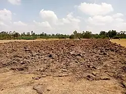 Boloso Sore plain area