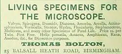 Living Specimens for the Microscope. Volvox, Spirogyra, Desmids, Diatoms, Amoeba, Arcella, Actinosphaerium, Vorticella, Stentor, Hydra, Floscularia, Stephanoceros, Melicerta, and many other Specimens of Pond Life, Price 1s. per Tube. Post Free. Helix pomatia, Astacas, Amphioxus, Rana, Anodon, &c., for Dissection purposes. Thomas Bolton, 25 Balsall Heath Road, Birmingham.