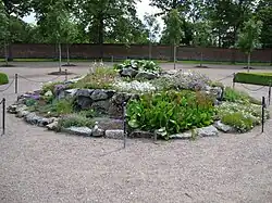 A flowerbed in the main section of the garden