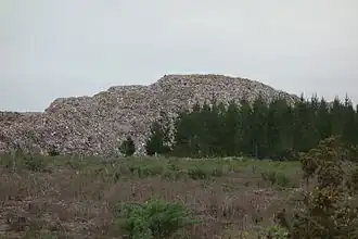 Demolition material from the 2011 Christchurch earthquake piled up in Bottle Lake Forest