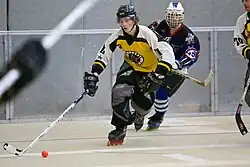 Inline skater hockey