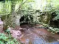 Bridge_near_Pwllglas_at_Craigadwywynt_and_Coed_Cilgroeslwyd_SSSI;_Dyffryn_Clwyd,_Sir_Ddinbych,_Cymru_(Wales)_113