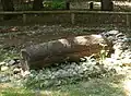 Log coffin burial, reconstruction[68][69]