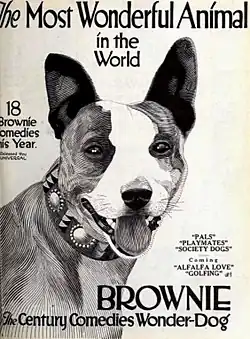 A line drawing of a dog's face. Above the image is text reading "The Most Wonderful Animal in the World", and below the image is text reading "Brownie the Centuries Comedy Wonder-Dog".