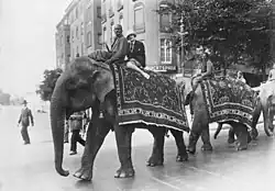 A parade of elephants with Indian trainers from the Hagenbeck show, on their way to the Berlin Zoo, 1926
