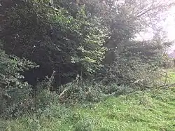 The mound, pictured in September 2019