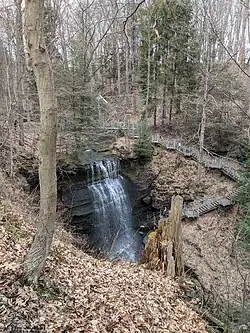 Portrait photograph showing Buttermilk Falls and stairway leading down to the base of the falls