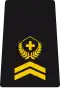 OR-6 - Sergeant major