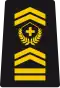 WO-4 - Chief warrant officer