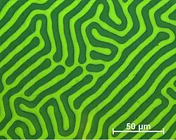 Domain structure of an exemplary meander domain (recorded using CMOS-MagView)
