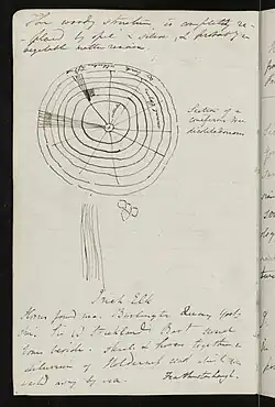 Pen drawing of one of Charles Lyell's ideas