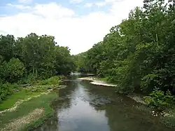 Shallow, tree-lined river
