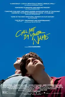 The theatrical release poster for Call Me by Your Name, showing two main characters, Oliver and Elio, leaning on each other's shoulders with the film's tagline above.