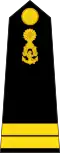 Lieutenant Junior Grade