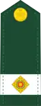Canadian Army officer cadet rank insignia