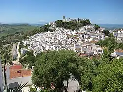 Casares