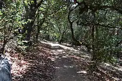 A trail in the park