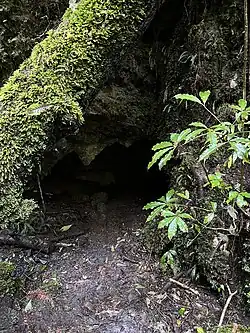 Cavern Creek Cave