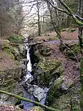 Chain Bridge Hafod Estate - geograph.org.uk - 1244797.jpg