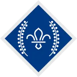 The Chief Scout's Diamond Award badge