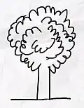 Drawing of a tree with curly crown.