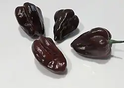 A photo of four brown habanero peppers on a white surface
