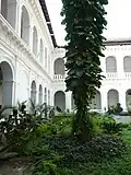 Completed in 1589 under the able supervision of Br. Domingos Fernandes, the Casa Professa or the &quot;Professed House&quot; according to Jesuit law is one which is intended for the exercise of the ministries of the Society of Jesus in Goa