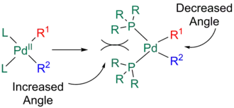 Cis-reductive elimination in the Stille reaction