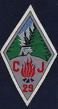 Insignia of CJF 29 - Direction Team.