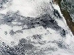 Stratocumulus clouds off Peru