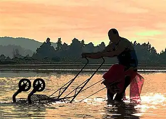 A person pushing a tool through shallow water at sunrise