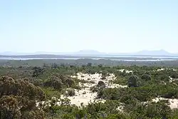 View over coastal heath