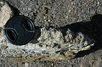 Concretionary cone-in-cone structures in Benton Shale