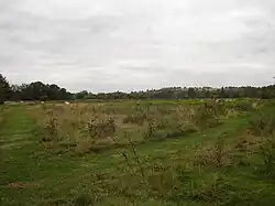 The Cornmill meadows