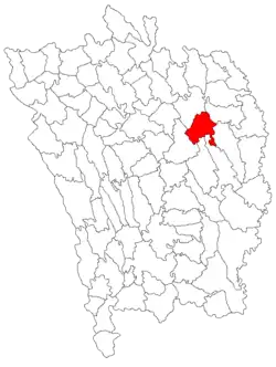 Location in Vaslui County