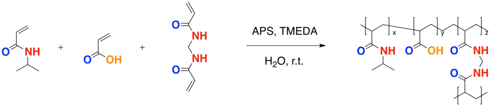 Crosslinked Hydrogel Polymerization of PNIPA
