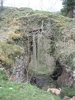 A through cave in a projecting grassy rock