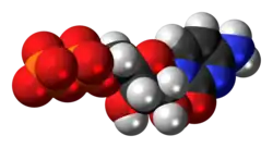 Space-filling model of the Cytidine diphosphate molecule as an anion (3- anion)