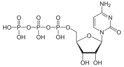 Skeletal formula of cytidine triphosphate as an anion (3- charge)