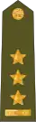 Plukovník[8] (Czech Land Forces)