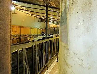A view behind the canvas covering a part of the barn to keep the ammonia in.