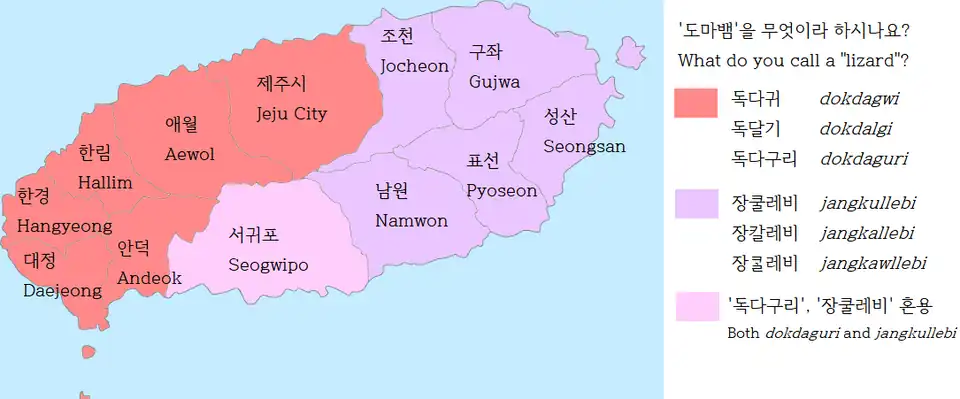 An east–west divide is salient in the Jeju words for "lizard". Eastern Seogwipo uses 장쿨레비 jangkullebi while western Seogwipo uses 독다구리 dokdaguri.[21]
