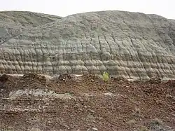 Well-stratified and fully exposed sedimentary formations in Dinosaur Provincial Park, Alberta, Canada) extend over large areas exposing eons of rock history through numerous wind and water exposed strata layers
