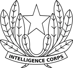 Directorate of Military Intelligence