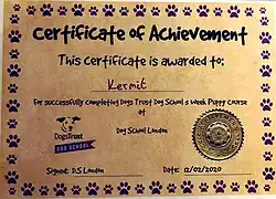 A Dog Certificate of Achievement issued by Dogs Trust